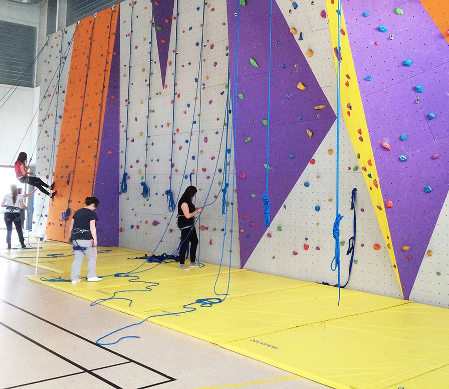 Tapis de 5 cm - dim. 2,50m x 2,00m