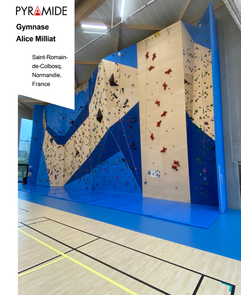 GYMNASE ALICE MILLIAT à Saint-Romain-de-Colbosq 